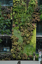 ♂ Vertical garden Green living wall - Paris