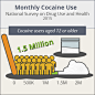 How to Recover from a Cocaine Addiction | Sunrise House : In 2015, there were 1.5 million people who used cocaine monthly, according to the National Survey on Drug Use and Health, says the National Institute on Drug Abuse. That may sound like a lot of peo