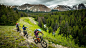 These Backcountry Huts Are a Mountain Biker's Dream : Why hike when you can ride?