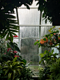 green-and-red-plants-inside-greenhouse-3708717