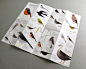 Bird Handbook : Illustrations for Bird Handbook, a leaflet introducing birds living in Tokyo. 