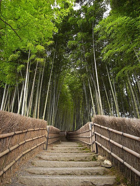 Bamboo path in Kyoto...