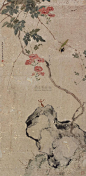【天狼收藏】古代绘画- 居巢、居廉工笔花鸟作品 - 天狼 - 指尖缘