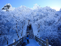 Thorny_crown采集到纯如白雪