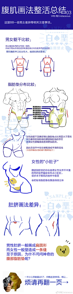 擎宇皇龙斩采集到石膏 3D模型 CG 肌肉