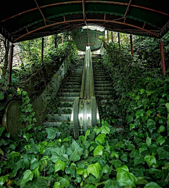 洛绎采集到场景