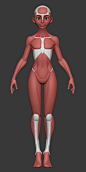 bli : 3d character artist ,3D instructor,MAXON BodyPaint 3D Artist