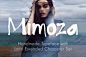 Mimoza 个性时尚英文字体   - PS饭团网