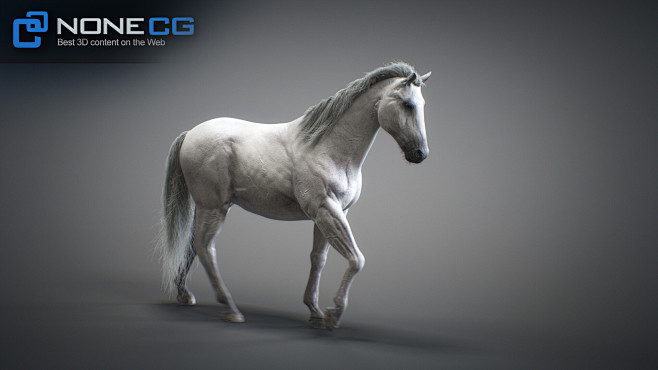 3D Horse Animated by...