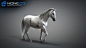 3D Horse Animated by NoneCG