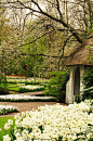 Keukenhof Gardens