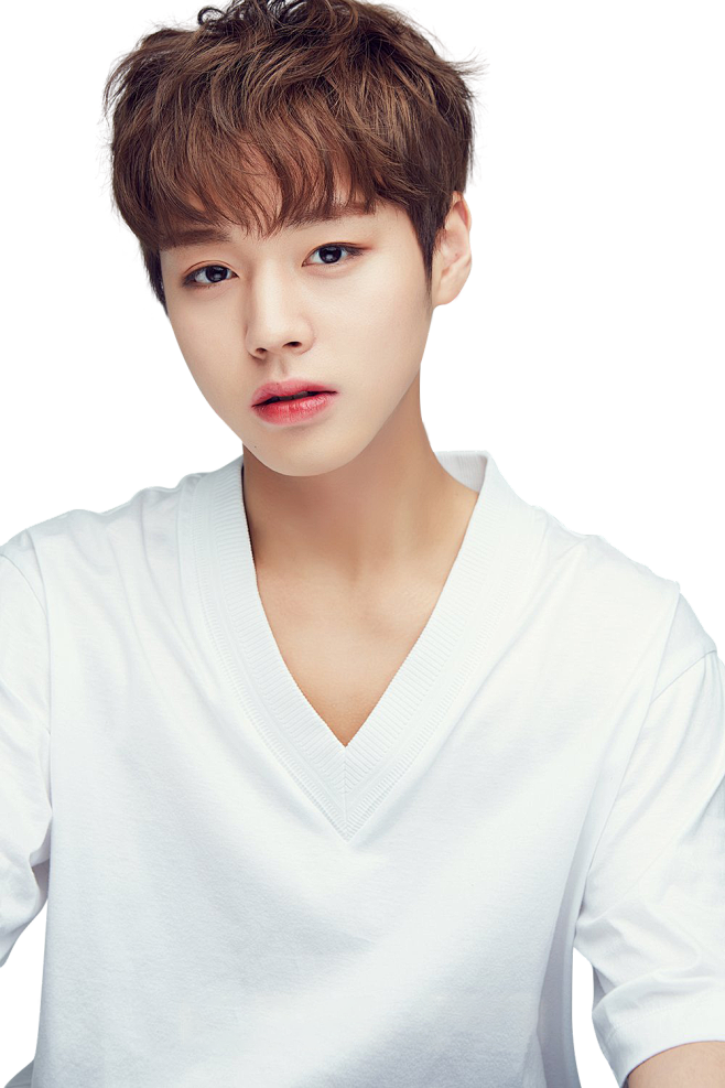 WANNA·ONE
朴志训PARK JI...