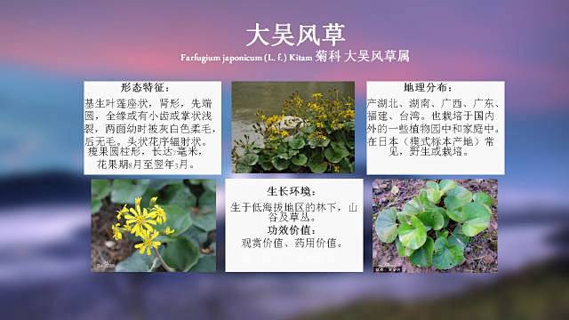 100种 · 常用园林植物，图文并茂 :...