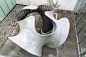 KnitCandela壳体结构· Zaha Hadid Architects ·编织·无模板