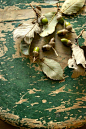 Still life of acorns and leaves on a weathered stool