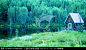 别墅小木屋,沼泽湿地,自然风景,摄影,汇图网www.huitu.com