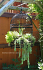 Free a birdcage! Plant succulents.