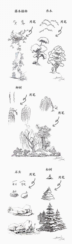 花嗡嗡嗡采集到hua