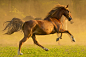 running by Mathias Ahrens on 500px