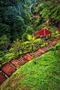 Natural Park of Ribeira Potholes, São Miguel Island, Azores Portugal: 