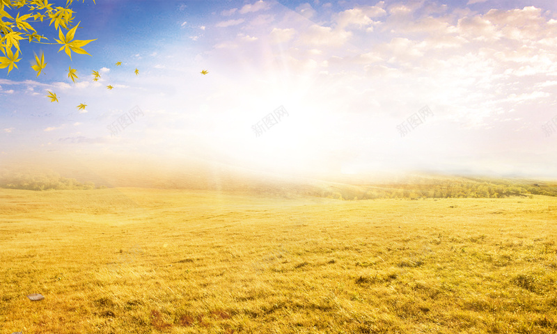 b1e28e6da8acfeefb577729d5ff0bbec7c5a64403387d-XPMCUc