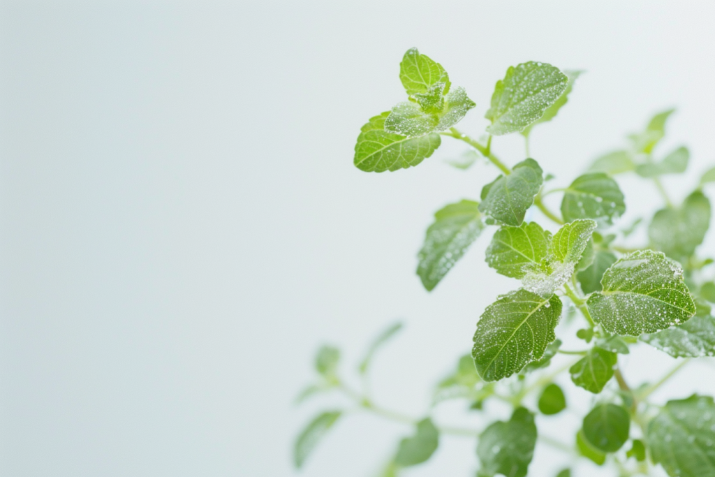 b1ebd7b543bcd6521a95562d5cd4d3f5be488991f3e5f-ir54n5