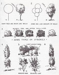 猴砸采集到植物