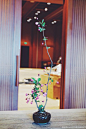 dewpearl
上周在宁波柏悦酒店，帮某洋酒品牌 24人春分晚宴做的花艺。两人作业之小品部分。