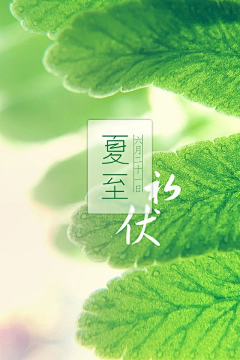 指尖生花采集到生活