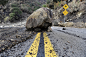 Photos of California's Deadly Mudslides : Hillsides scorched by wildfires last month unleashed mudslides under heavy rainfall north of Los Angeles on Tuesday.