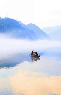 上弦洛采集到花海丛林