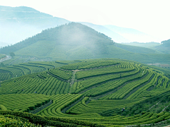 冒气苏打采集到风景