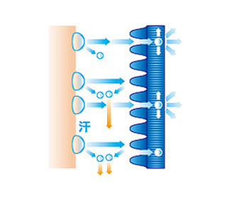 데상트코리아 공식 E-SHOP : T...