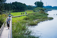 江少盛采集到河道景观