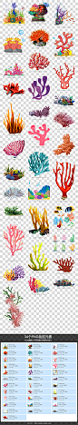 海底植物珊瑚图片珊瑚礁PNG模板