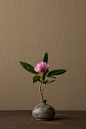 日本花艺大师Kawase Toshiro（川瀨敏郎），“自然野趣流”的代表人物，他喜欢用一些古老、质朴、布满历史痕迹的器皿当做花器，依据时节到山野里找最当令的花叶，融入花器中。