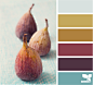 fig hues