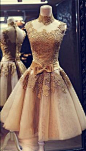 Gold lace prom dress, short prom dress, best for your prom in 2016 More