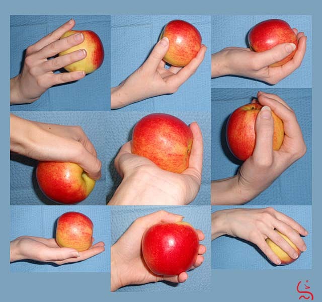 Hands I - apple by G...