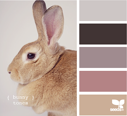 bunny tones