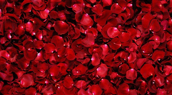 ID-925721-红色的玫瑰花瓣高清大...