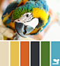 Design Seeds® | find your palette