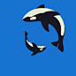Orca Family Animation : Animation for biggest aquarium in Russia #GIF# #loading#