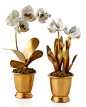 Tommy Mitchell Gilded Potted Flower Sculptures