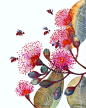 Pink Flowering Gum - flowers and bees, nature art print by OlaLiola, size 8x10 (No. 24).19.00, via Etsy.