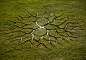 World Tree : 2012 /Ø: 10 meter /soil, water