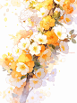 manyanlin_yellow_and_white_apricot_flowers_with_a_white_backgro_5c22043f-349c-4506-b7cf-395577356d1d.png (928×1232)