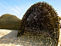 亚麻绳表现的艺术森林 forest temple by Casagrande Laboratory-mooool设计