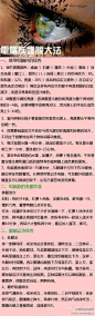 【电脑族护眼大法，送给刷着微博的你】国内外调查资料表明，经常使用电脑的上班族，不适症状有头昏、头痛、疲乏无力、视力下降、记忆力减退、失眠多梦、工作能力降低等。下面，介绍三个养眼妙招给电脑族参考，让大家刷微博的同时也保护好自己的眼睛！@生命时报