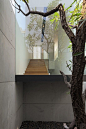 House | Homes Archi